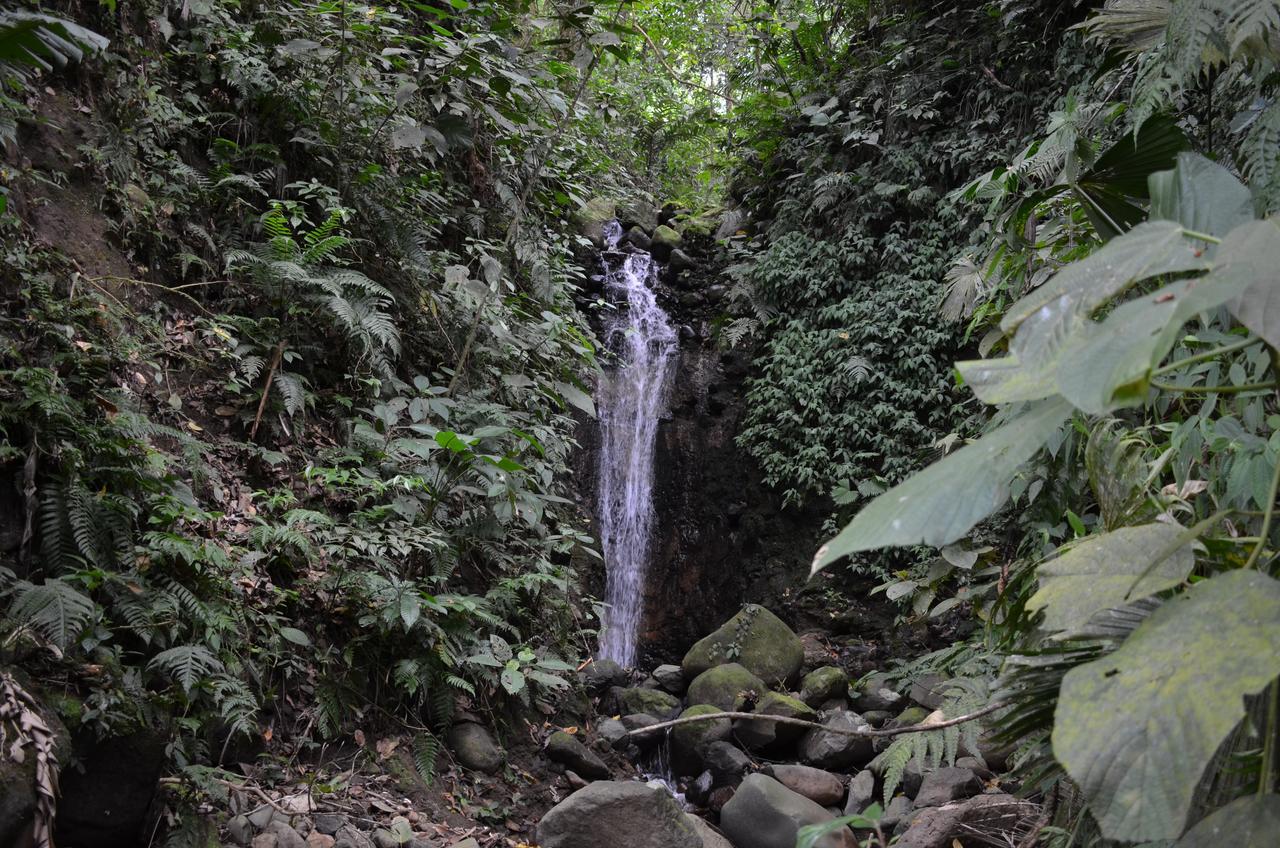 Lumbres Arenal Villa La Fortuna Dış mekan fotoğraf