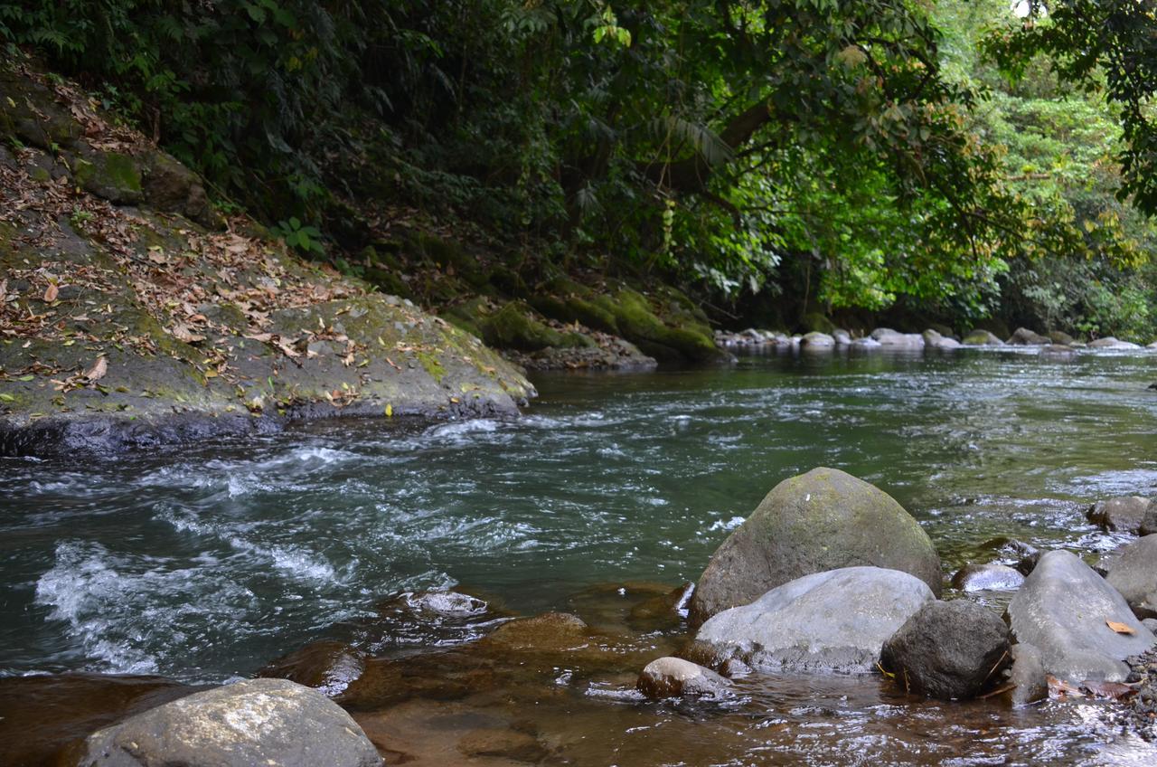 Lumbres Arenal Villa La Fortuna Dış mekan fotoğraf