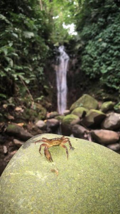 Lumbres Arenal Villa La Fortuna Dış mekan fotoğraf